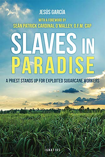 Imagen de archivo de Slaves in Paradise : A Priest Stands up for Exploited Sugarcane Workers a la venta por Better World Books