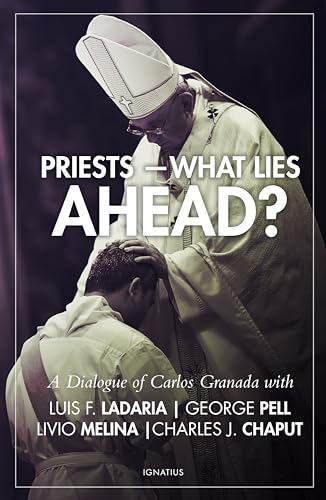 Beispielbild fr Priests - What Lies Ahead? zum Verkauf von WorldofBooks