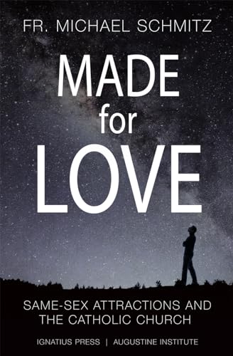 Stock image for Made for Love: Same-Sex Attraction and the Catholic Church for sale by HPB-Diamond