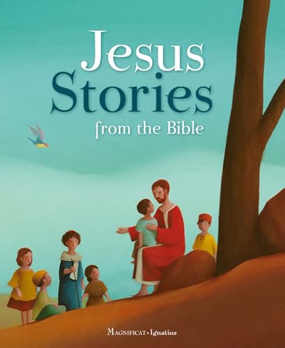 Beispielbild fr Jesus Stories from the Bible zum Verkauf von ZBK Books