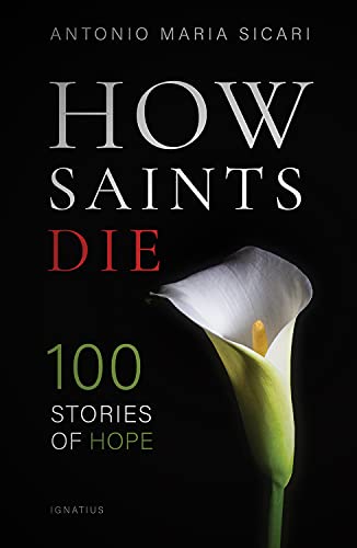 Stock image for How Saints Die: 100 Stories of Resurrection for sale by SecondSale