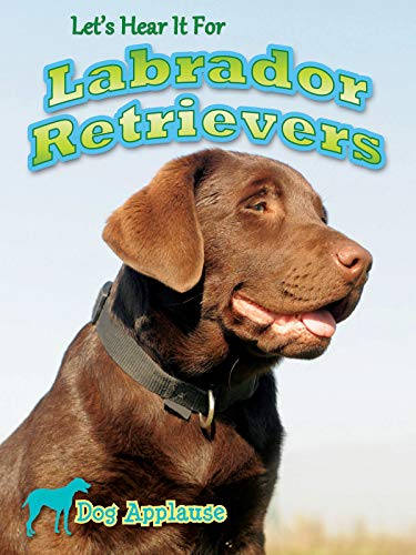 Imagen de archivo de Let's Hear It for Labrador Retrievers a la venta por Better World Books