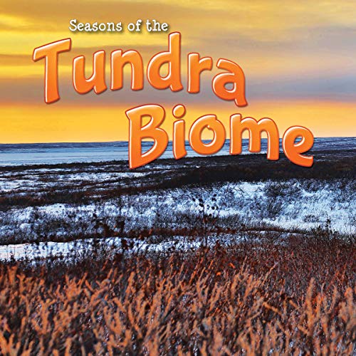 Beispielbild fr Seasons of the Tundra Biome zum Verkauf von Better World Books