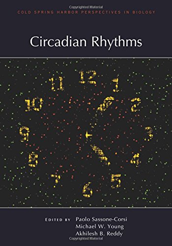 9781621821243: Circadian Rhythms (Perspectives Cshl)