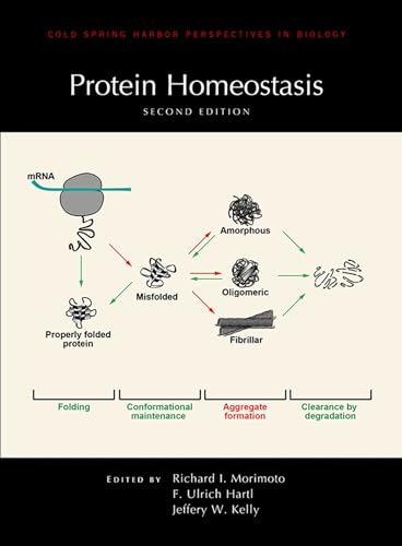 Beispielbild fr Protein Homeostasis zum Verkauf von Blackwell's