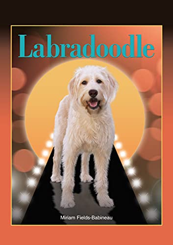 Stock image for Labradoodle for sale by ThriftBooks-Atlanta