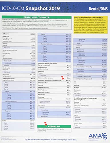 Beispielbild fr ICD-10-CM 2019 SNAPSHOT CODING zum Verkauf von Buchpark