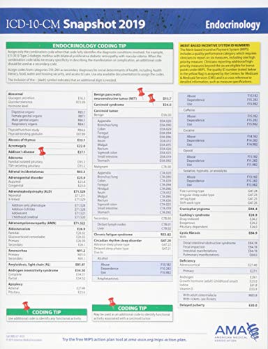 Beispielbild fr ICD-10-CM 2019 Snapshot Coding Card: Ear, Nose, and Throat zum Verkauf von Buchpark