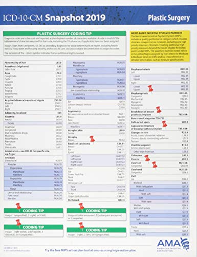 Beispielbild fr ICD-10-CM 2019 SNAPSHOT CODING zum Verkauf von Buchpark