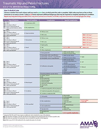 Beispielbild fr ERC-ICD-10 CHRONIC DISEASE 201 zum Verkauf von Buchpark