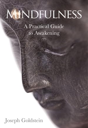 Imagen de archivo de Mindfulness: A Practical Guide to Awakening a la venta por Goodbooks Company