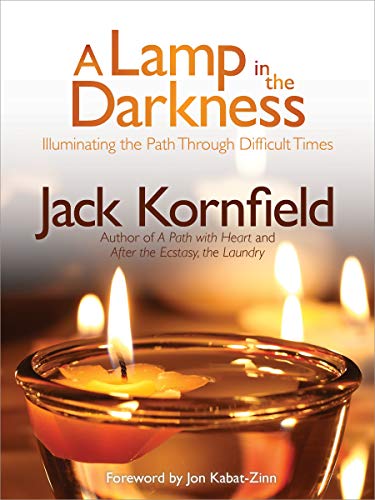 Beispielbild fr A Lamp in the Darkness: Illuminating the Path Through Difficult Times [With CD (Audio)] zum Verkauf von ThriftBooks-Atlanta