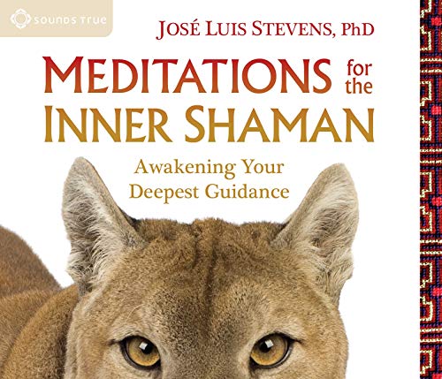 Stock image for Meditations for the Inner Shaman: Awakening Your Deepest Guidance for sale by HPB-Ruby