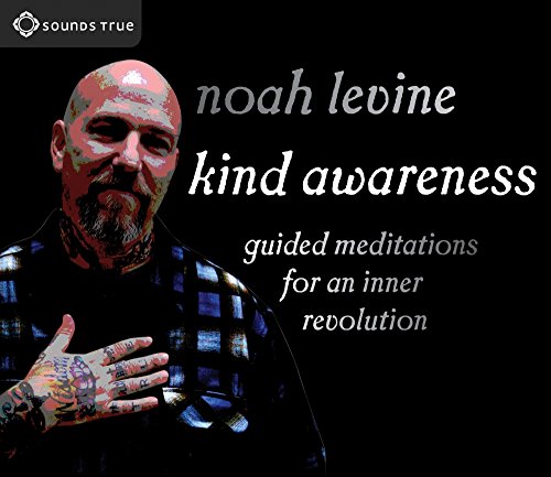 Beispielbild fr Kind Awareness: Guided Meditations for an Inner Revolution zum Verkauf von SecondSale