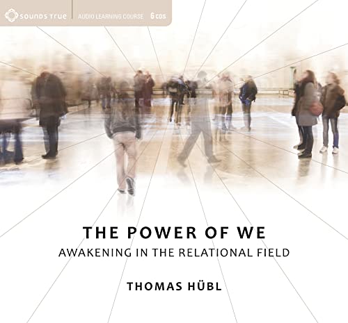 Stock image for The Power of We: Awakening in the Relational Field for sale by GoldBooks