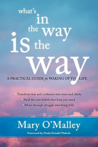 Imagen de archivo de What's in the Way Is the Way: A Practical Guide for Waking Up to Life a la venta por Books Unplugged