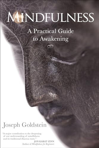 9781622036059: Mindfulness: A Practical Guide to Awakening