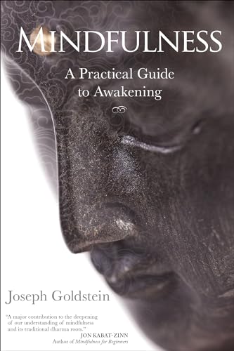 Imagen de archivo de Mindfulness: A Practical Guide to Awakening a la venta por Goodwill of Colorado