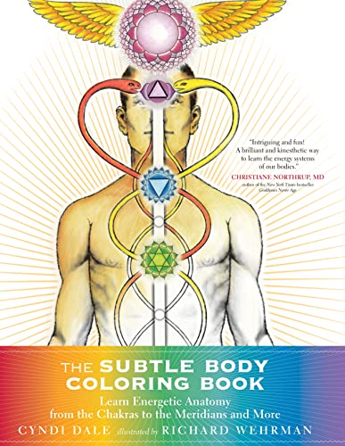 Imagen de archivo de The Subtle Body Coloring Book: Learn Energetic Anatomy--from the Chakras to the Meridians and More a la venta por Goodwill Industries of VSB