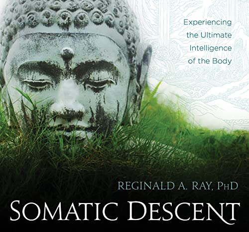 9781622036639: Somatic Descent: Experiencing the Ultimate Intelligence of the Body