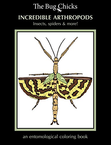 Stock image for Incredible Arthropods: Insects, spiders & more! for sale by Your Online Bookstore