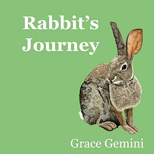 Stock image for Rabbit's Journey for sale by Lucky's Textbooks