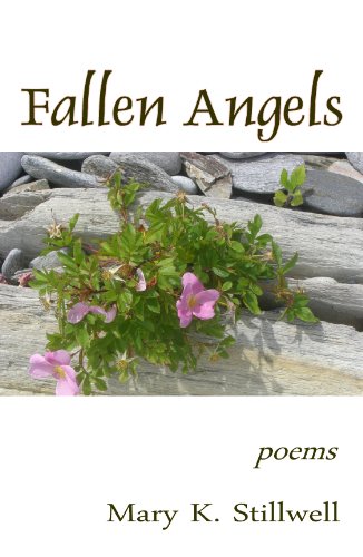 Stock image for Fallen angels for sale by Inkberry Books
