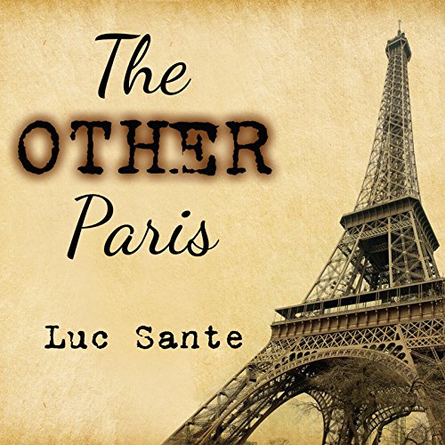 Imagen de archivo de The Other Paris a la venta por Half Price Books Inc.