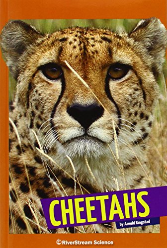 Stock image for Cheetahs (Wild Cats) for sale by St Vincent de Paul of Lane County