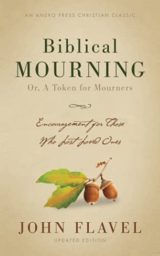 Stock image for Biblical Mourning: Encouragement for Those Who Lost Loved Ones for sale by ThriftBooks-Atlanta