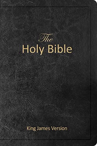 Stock image for The Holy Bible (KJV), Holy Spirit Edition, Imitation Leather: King James Version for sale by Ebooksweb