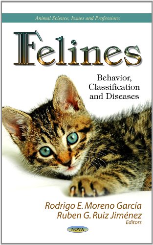 Imagen de archivo de Felines a la venta por PBShop.store US