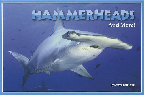 Stock image for Hammerheads and More! for sale by Better World Books
