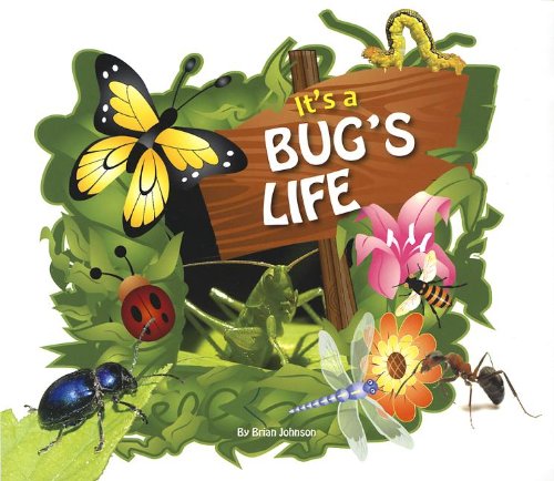 It's a Bug's Life (9781622670031) by Johnson, Brian