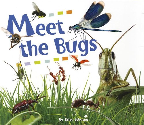 Meet the Bugs (9781622670048) by Johnson, Brian