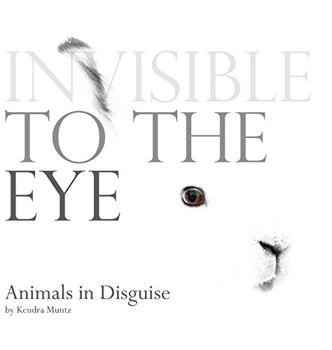 Beispielbild fr Invisible to the Eye: Animals in Disguise zum Verkauf von Better World Books: West