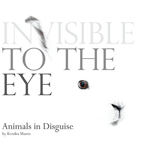 Stock image for Invisible to the Eye: Animals in Disguise for sale by Better World Books: West