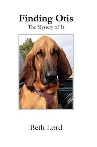 Stock image for Finding Otis: The Mystery of It for sale by Lucky's Textbooks