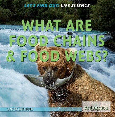 9781622752362: What Are Food Chains & Food Webs? (Let's Find Out!: Life Science)