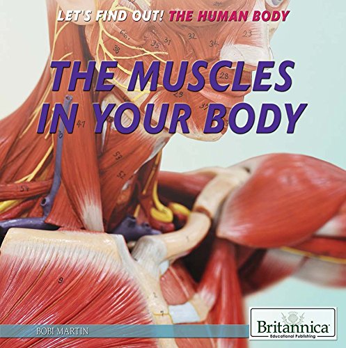 Stock image for The Muscles in Your Body for sale by Better World Books: West