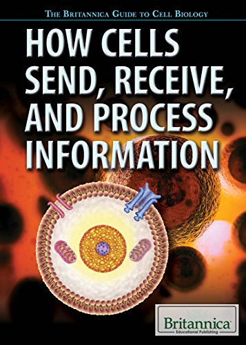 Stock image for How Cells Send, Receive, and Process Information for sale by ThriftBooks-Dallas