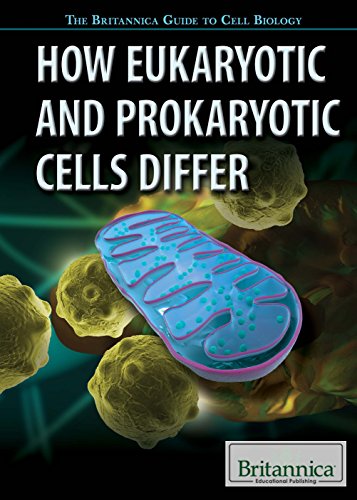 Stock image for How Eukaryotic and Prokaryotic Cells Differ for sale by ThriftBooks-Atlanta