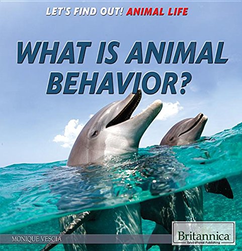Stock image for What Is Animal Behavior? for sale by Better World Books: West