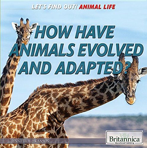 Stock image for How Have Animals Evolved and Adapted? (Let's Find Out! Animal Life, 3) for sale by Your Online Bookstore