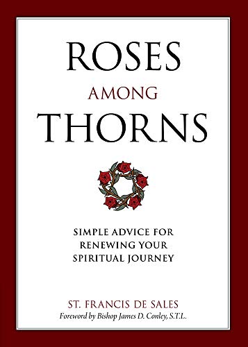 Beispielbild fr Roses Among Thorns: Simple Advice for Renewing Your Spiritual Journey zum Verkauf von BooksRun