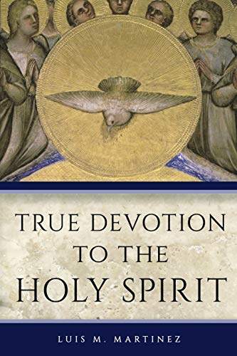 Imagen de archivo de True Devotion to the Holy Spirit a la venta por Books Puddle