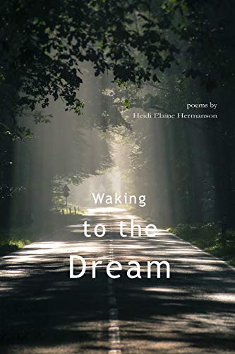 Imagen de archivo de Waking to the Dream a la venta por Better World Books