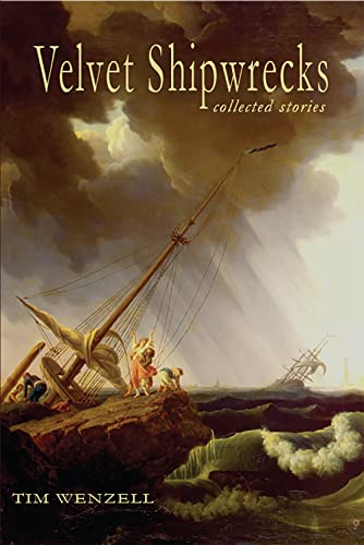9781622889150: Velvet Shipwrecks: Collected Stories