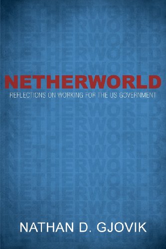 9781622958092: Netherworld: Reflections on Working for the US Government