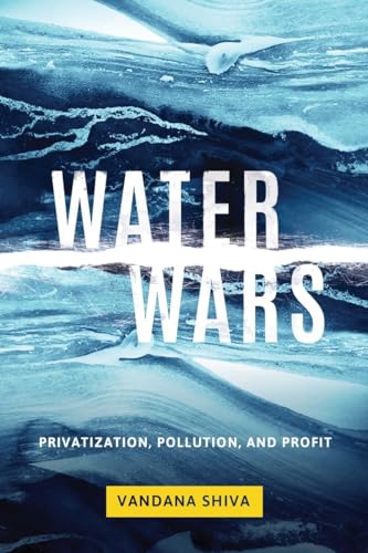 Beispielbild fr Water Wars: Privatization, Pollution, and Profit zum Verkauf von SecondSale